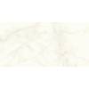Керамогранит Atlas Concorde Marvel Shine A4Q0 Calacatta Delicato Lappato 60x120