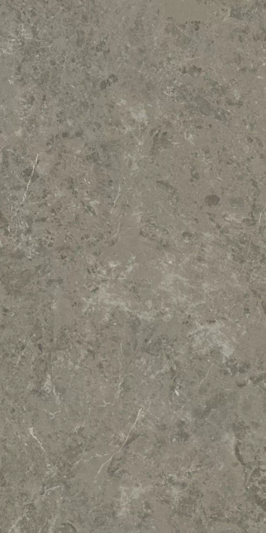 Керамогранит Atlas Concorde Marvel Meraviglia AJHW Grigio Elegante Lapp. 60x120