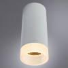 Потолочный светильник Arte Lamp Ogma A5556PL-1WH фото 4