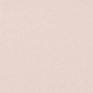 Обои виниловые Rasch Sparkling 523157