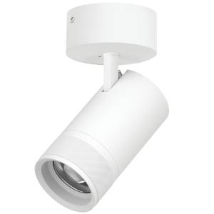 Накладной светодиодный спот Lightstar Canno Pro C4406SO