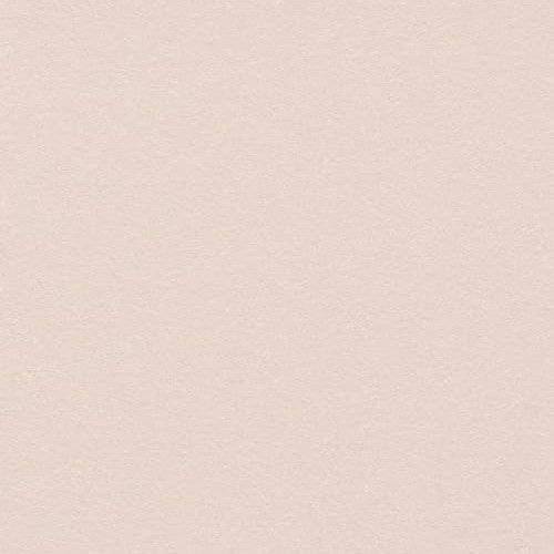 Обои виниловые Rasch Sparkling 523157
