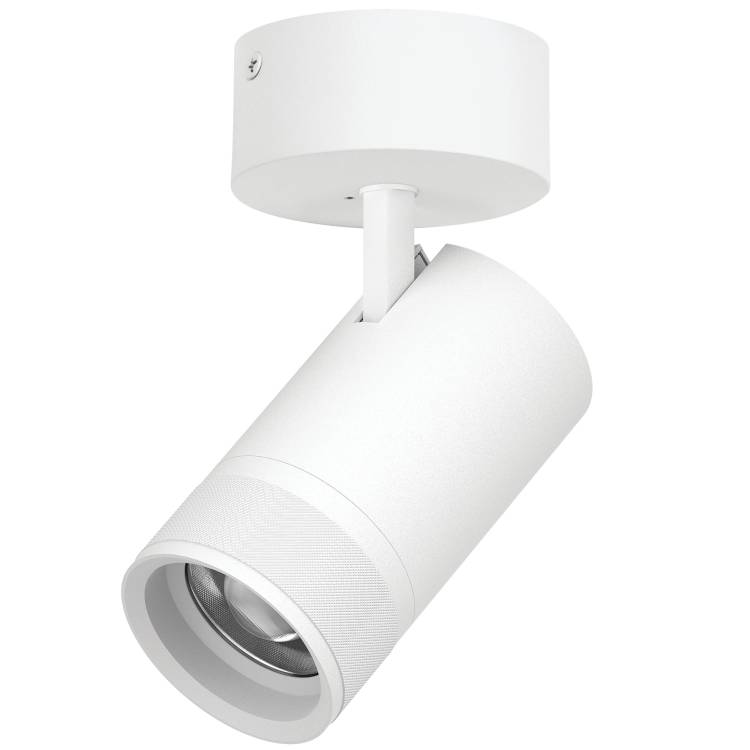 Накладной светодиодный спот Lightstar Canno Pro C4406SO