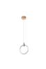 Подвесной светильник Zortes RINGER ZRS.57792.17 фото 6
