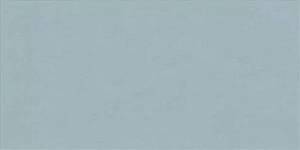 Керамогранит Ariana Floralia Bleuet 60x120