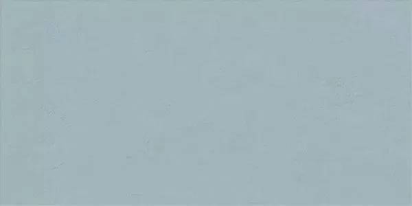 Керамогранит Ariana Floralia Bleuet 60x120