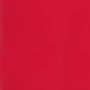 Линолеум Tarkett Omnisports Speed (Омниспортс Спид) Red (Красный) (рулон: 2x20.5=41 м2)