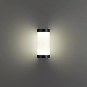 Уличный настенный светильник Novotech Street Opal 359300