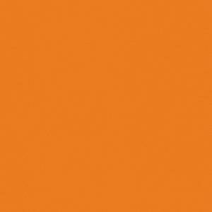 Спортивное ПВХ покрытие Tarkett Omnisports Action 65 Orange (рулон: 2x20.5=41 м2)