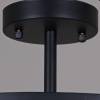Потолочная люстра Illumico IL1031-3C-05 BK фото 2