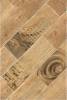 Декор Grasaro Italian Wood GT-251/d01 Honey 20х60 фото 14