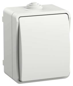 Выключатель 1-клавишный IEK Fors EVS13-K01-10-54-DC белый