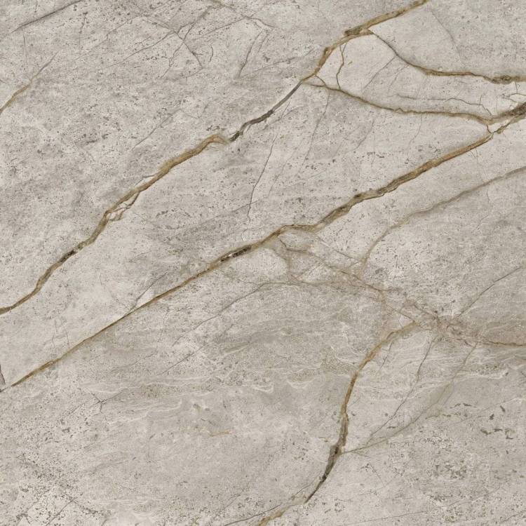 Керамогранит Atlas Concorde Russia Empire 610010002194 Silver Root / Сильвер Рут 60x60