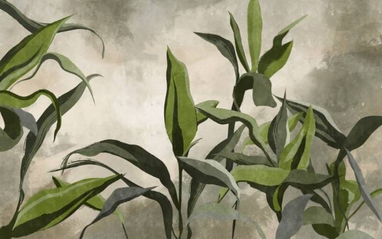 3D Фотообои Artegrafico «Букет зелёных тропических цветов» AVG-008 песок