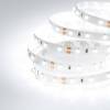 Светодиодная лента Arlight 4,8W/m 60LED/m 3528SMD дневной белый 5M 021418(1) фото 2