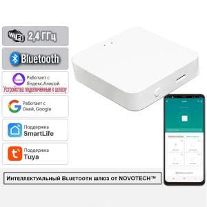 Интеллектуальный Bluetooth-шлюз для умного дома Novotech Glat 359392
