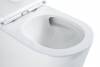 Унитаз-моноблок BelBagno Tre-Tor BB673CP-MN-TOR/SC с сиденьем микролифт фото 3