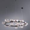 Подвесная люстра Arte Lamp Vincent A7790SP-24BK фото 2