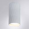 Потолочный светильник Arte Lamp Fang A5557PL-1WH фото 3
