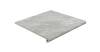 Ступень Exagres Petra Peld. Gris R12 33x33