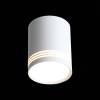 Потолочный светодиодный светильник ST Luce Cerione ST101.502.12 фото 2